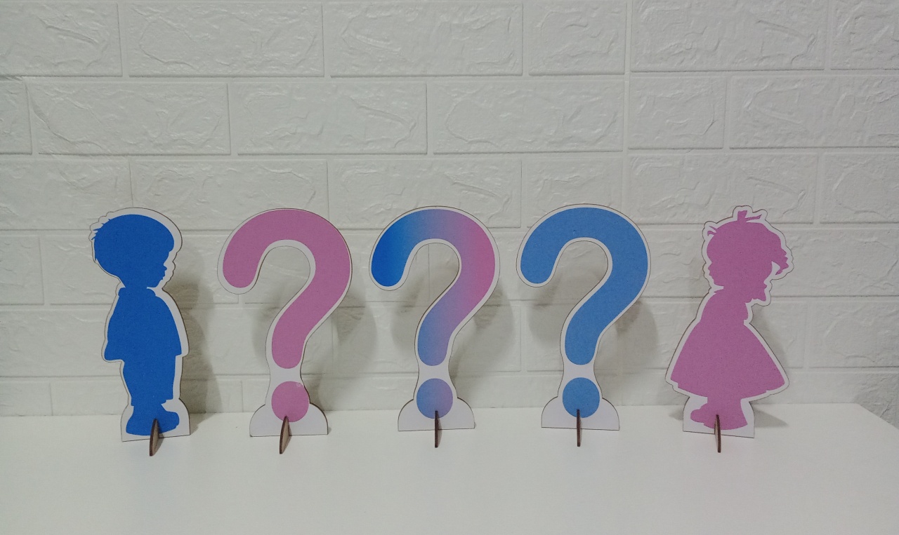Displays Menino Ou Menina Interrogação Chá Revelação Mdf C/5 Unidades   - Cassia Decore e Celebre