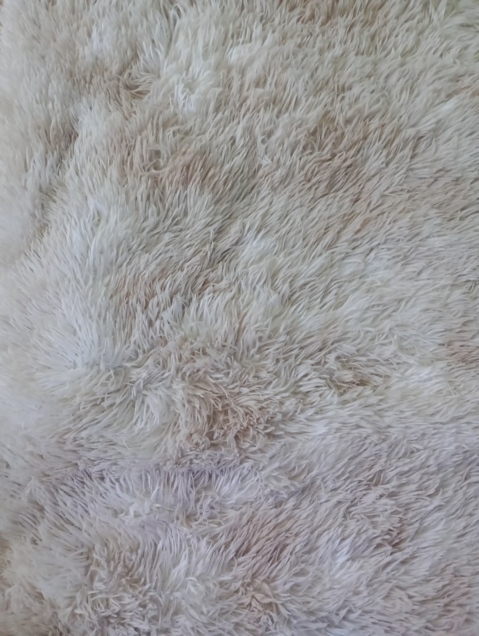 Tapete Peludo Bege 2 X 1,5M  - Cassia Decore e Celebre