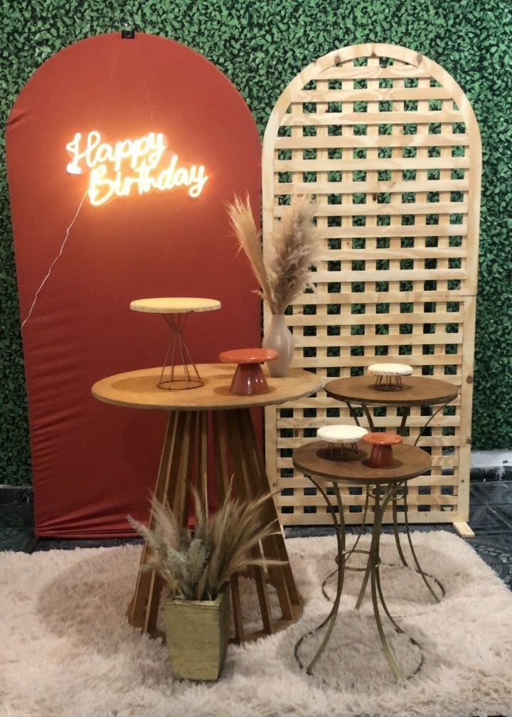 Kit Adulto Com Pinus - 05 - Sua Festa Pegue & Monte