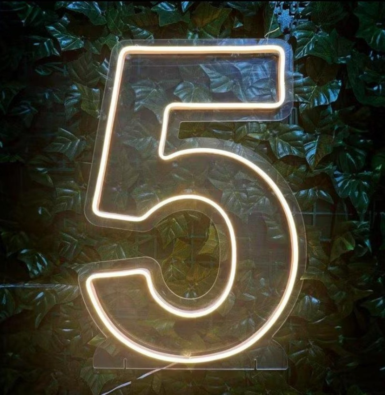 Número de Led 5 - Sua Festa Pegue & Monte