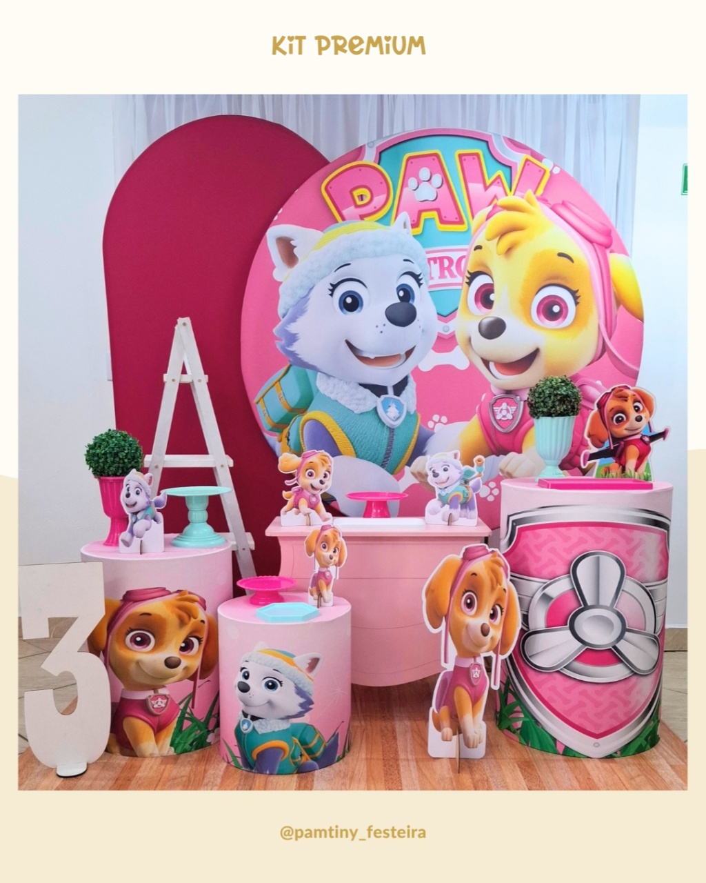 Kit Premium Patrulha Canina Rosa   - Pamtiny Festeira 