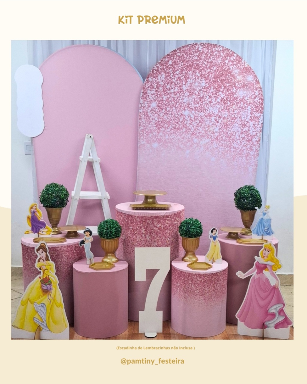 Kit Premium Princesas Romano - Pamtiny Festeira 