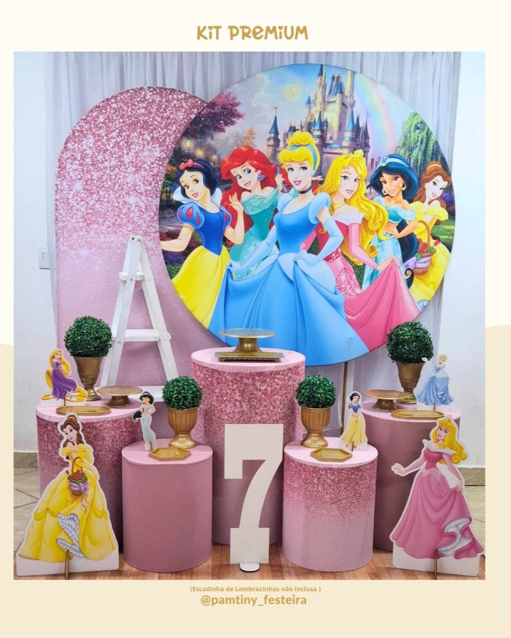Kit Premium Princesas - Pamtiny Festeira 