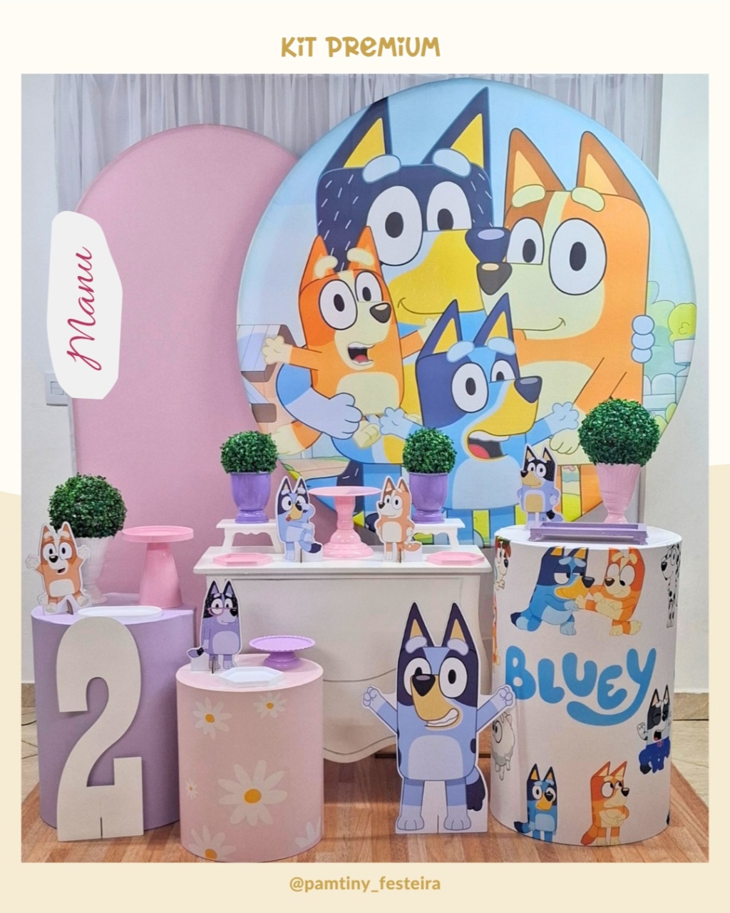 Kit Premium  Bluey  Rosa - Pamtiny Festeira 