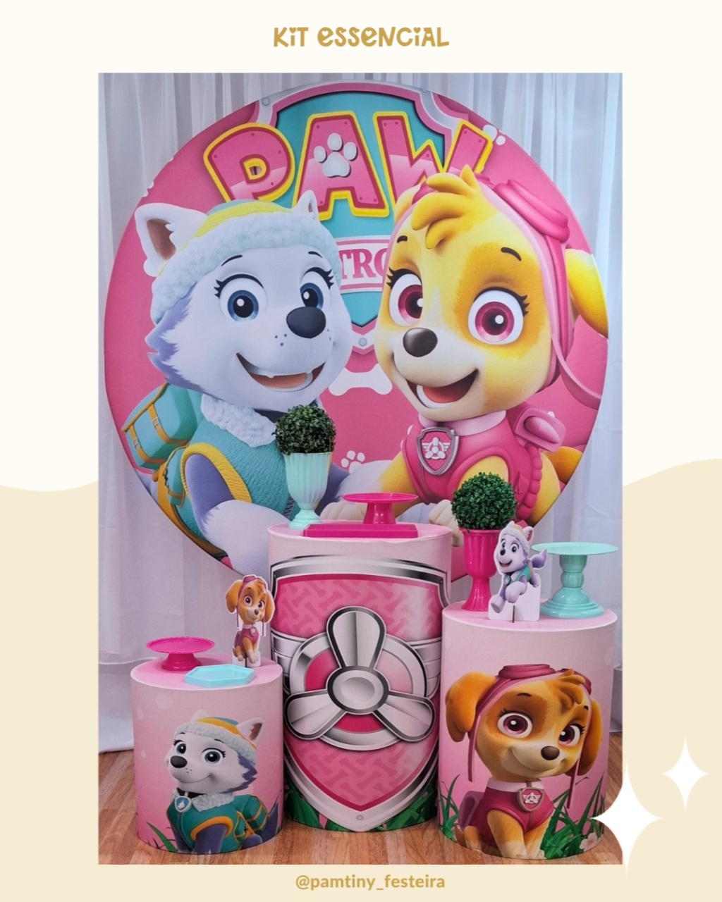 Kit  Essencial Patrulha Canina Rosa  - Pamtiny Festeira 