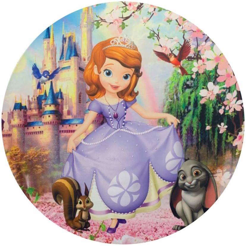 Painel Temático Princesa Sofia - Jessica Souza de Macedo