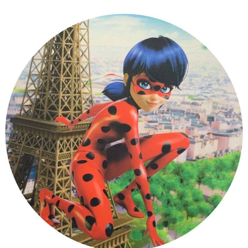 Painel Temático Lady Bug - Jessica Souza de Macedo