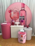 Pegue & Monte Gin Rosa - Kit Prata - imagem 1