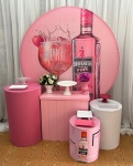 Pegue & Monte Gin Rosa - Kit Prata - imagem 2