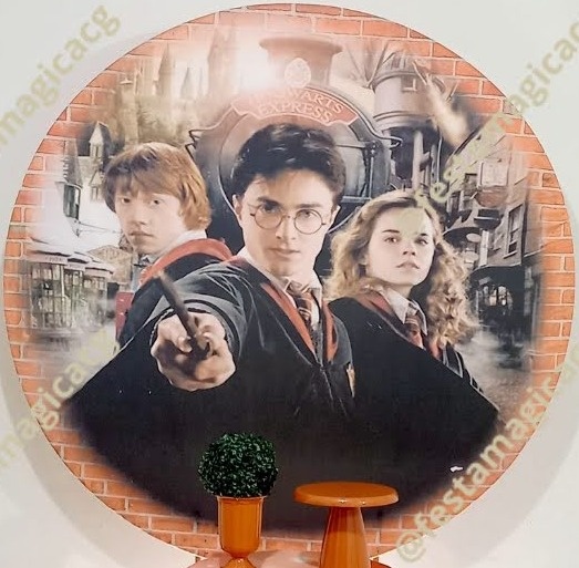 Painel Harry Potter - Olivete Filgueira