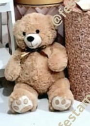 Urso M - Olivete Filgueira