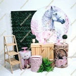 K3 Boiadeira Cavalo - imagem 1