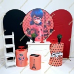 K4 Ladybug  - imagem 2