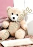 Urso P - Olivete Filgueira