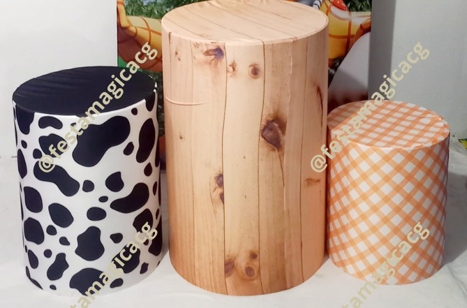 Cilindro Toy Story Romano Woody - Olivete Filgueira