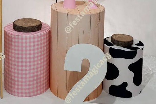 Cilindro Fazendinha Rosa 2 - Olivete Filgueira