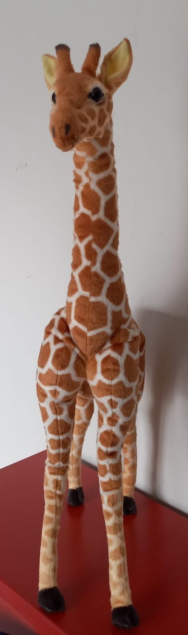 Girafa - Olivete Filgueira