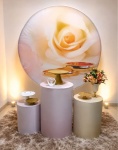 Cenário Casamento Simples - imagem 2