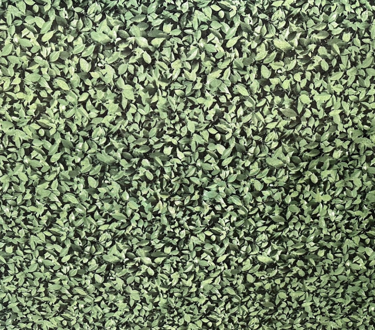 Tecido Jacquard Muro Inglês  - Pegue e Monte Big Festa