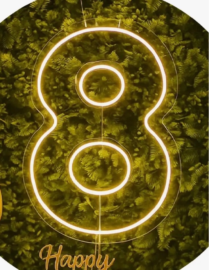 Numeral Led 50 Cm  - Pegue e Monte Big Festa