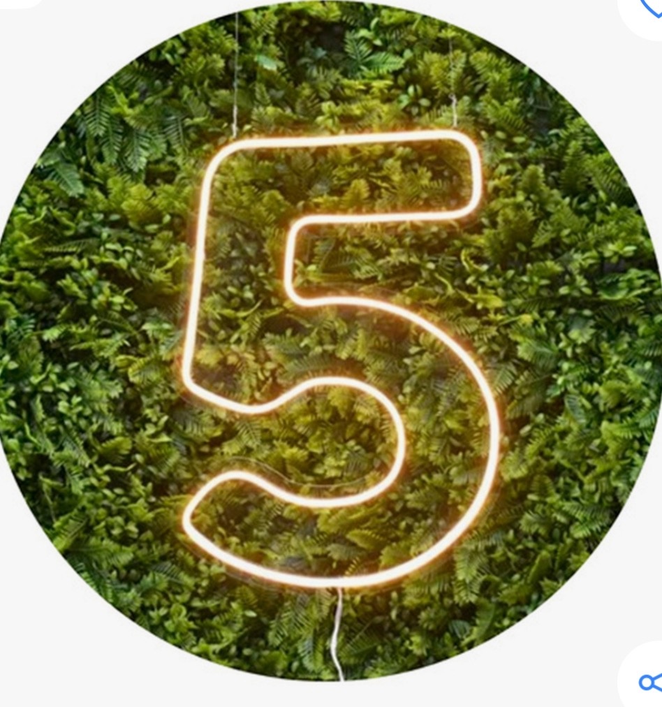 Numeral Led 50 Cm (Cópia) - Pegue e Monte Big Festa