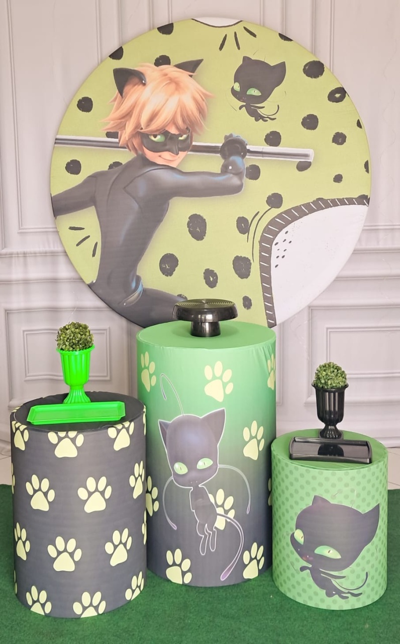 Miraculous Cat Noir - Silmara Decorações 