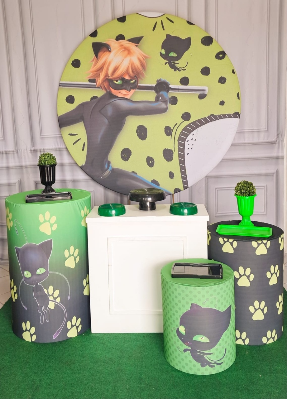 Miraculous Cat Noir - Silmara Decorações 
