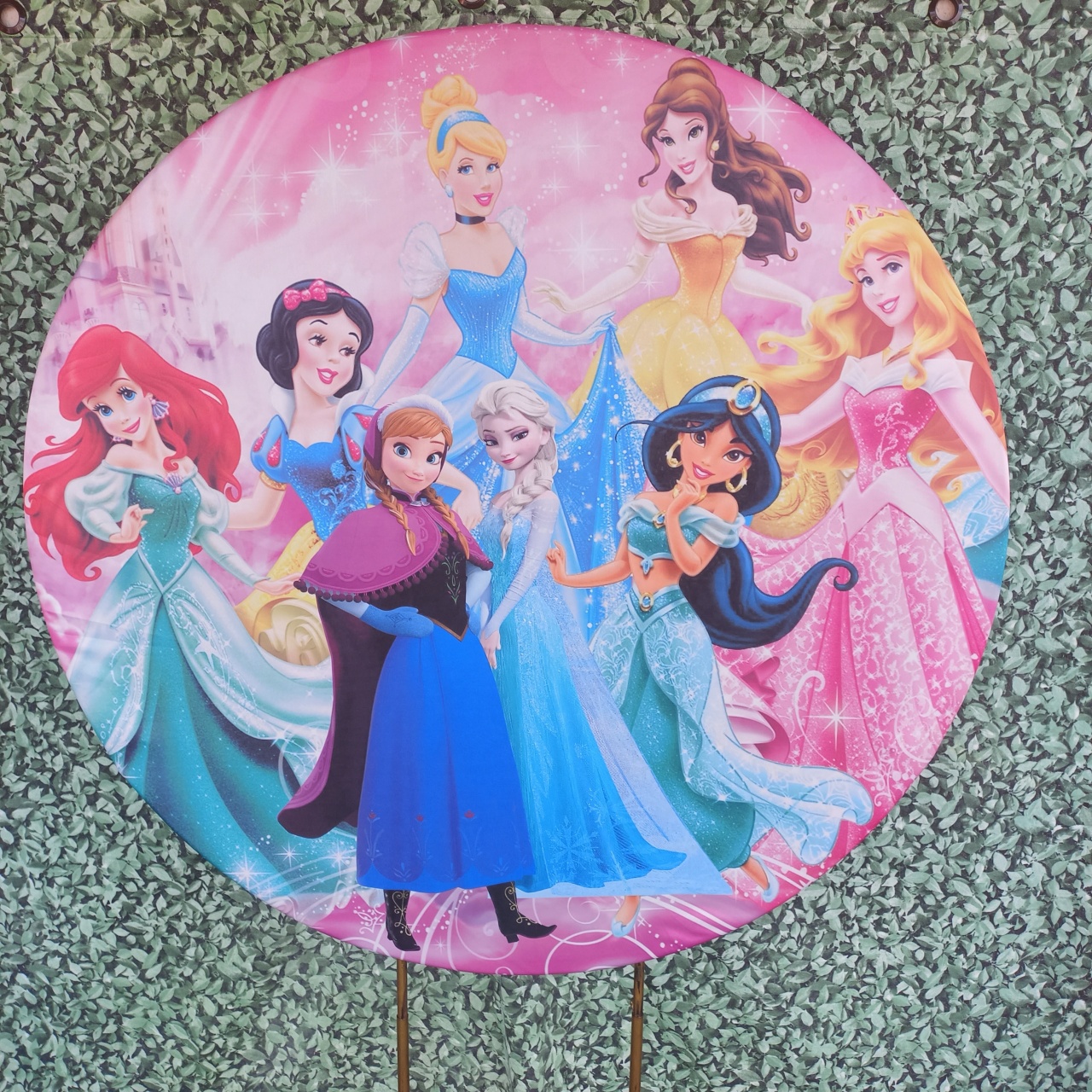 Tecido Painel Redondo Princesas - Silmara Decorações 