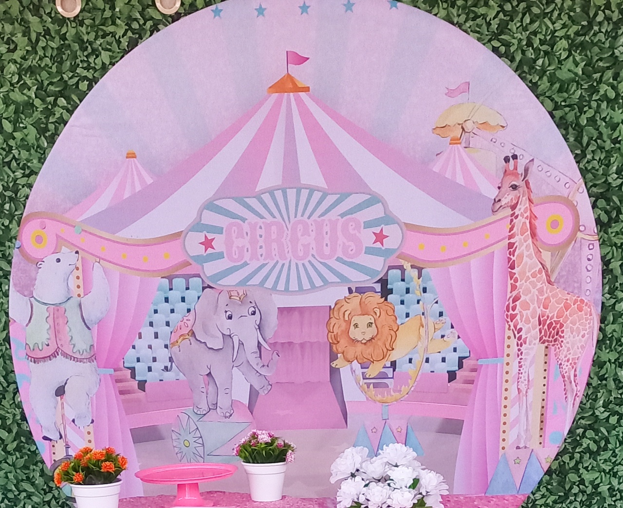 Tecido Painel Redondo Circo Rosa - Silmara Decorações 
