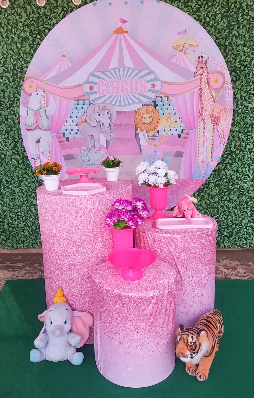 Circo Rosa - Silmara Decorações 