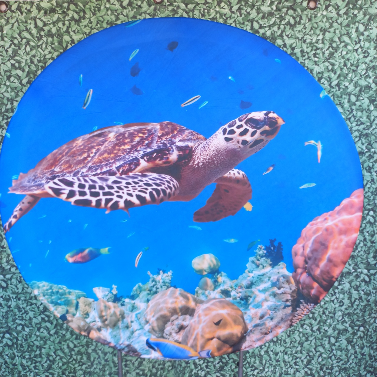 Tecido Painel Redondo Fundo Do Mar - Silmara Decorações 