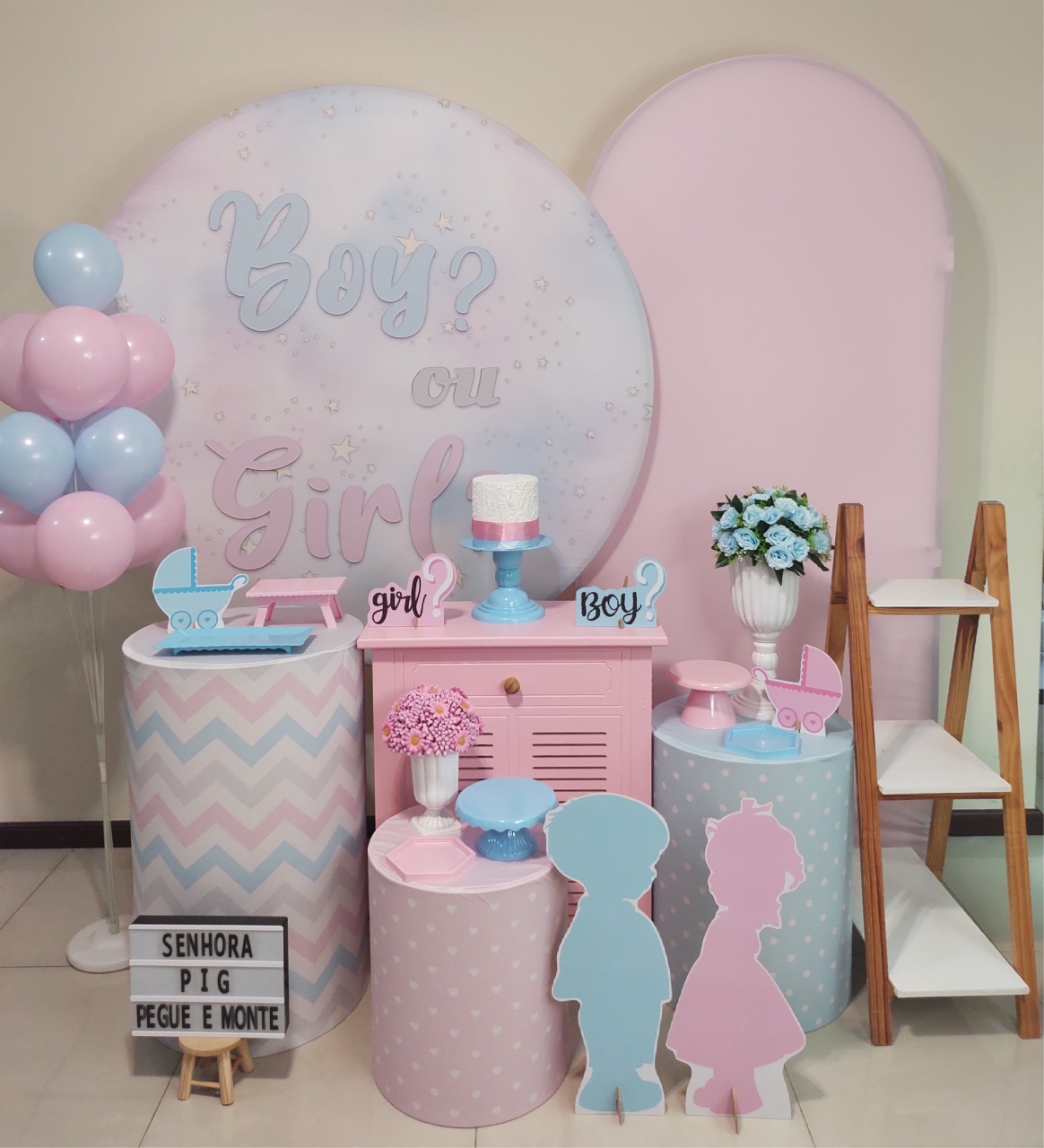 Boy Ou Girl Kit 3 - Senhora Pig Pegue e Monte 