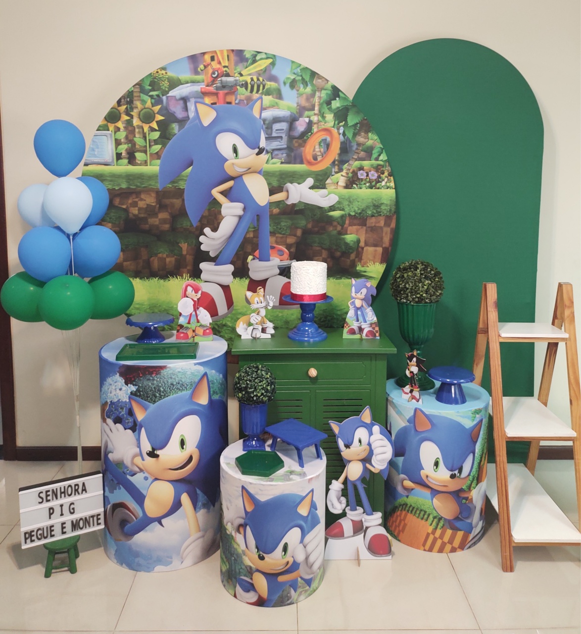 Sonic 01 Kit 3 - Senhora Pig Pegue e Monte 