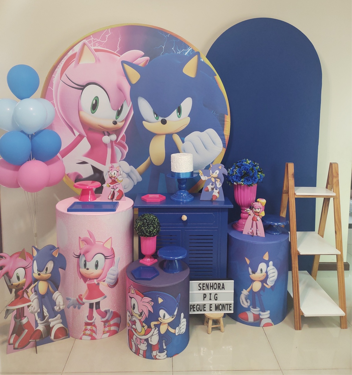 Sonic E Amy Kit 3 - Senhora Pig Pegue e Monte 