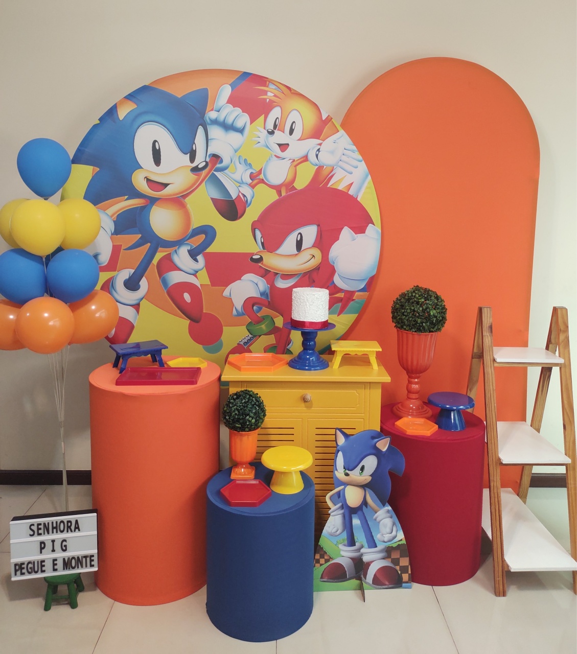 Sonic 03 Kit 3 - Senhora Pig Pegue e Monte 