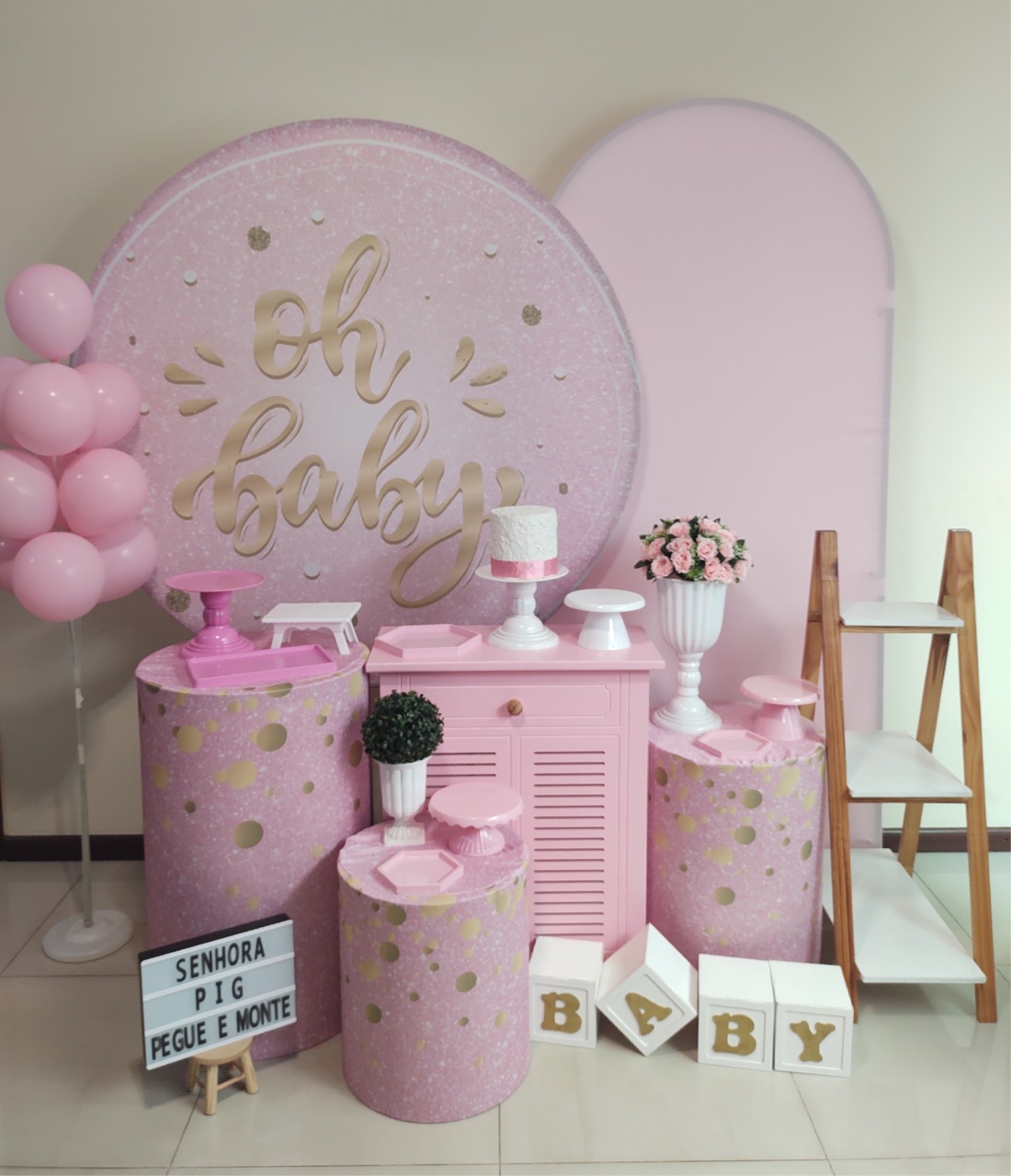 Oh Baby Rosa Kit 3 - Senhora Pig Pegue e Monte 