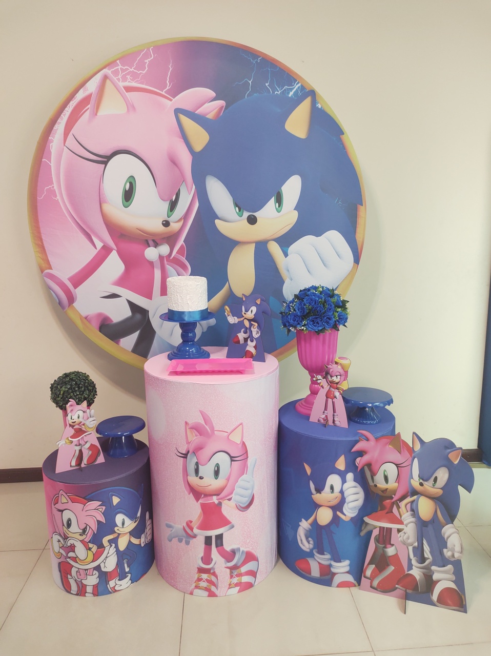 Sonic E Amy Kit 1 - Senhora Pig Pegue e Monte 