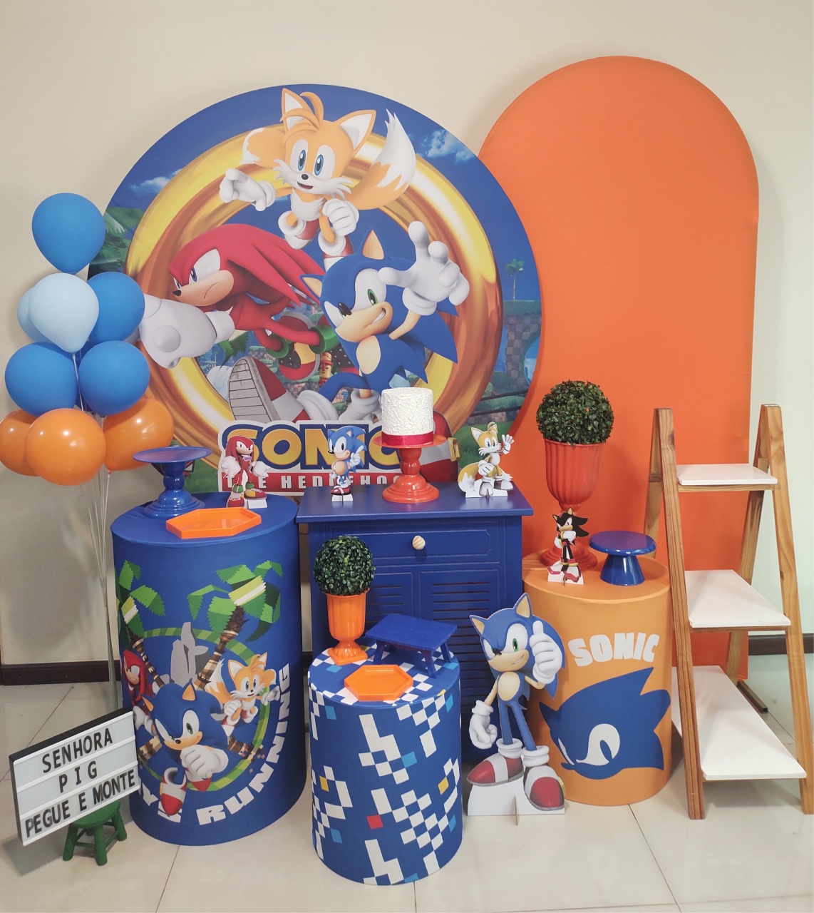 Sonic 02 Kit 3 - Senhora Pig Pegue e Monte 