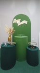 Kit Adulto 5 - imagem 2