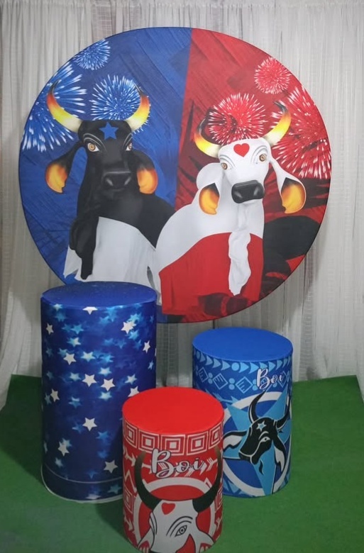 Kit Sublimado Boi Garantido E Caprichoso - RM Festas