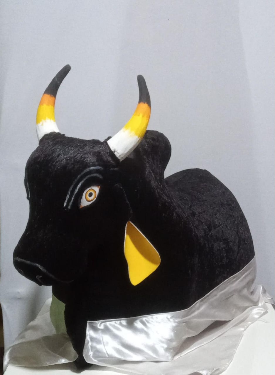 Boi Caprichoso Gg - Chão - RM Festas