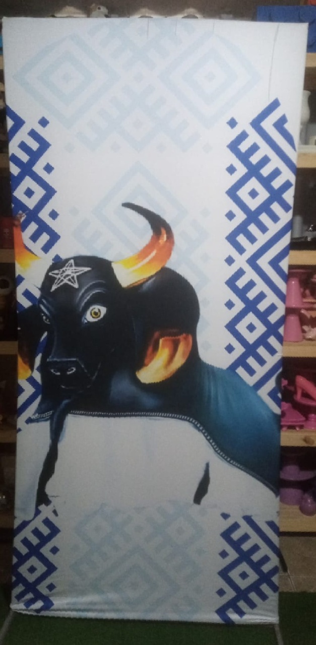Painel Lateral Veste Fácil Caprichoso - Boi - RM Festas