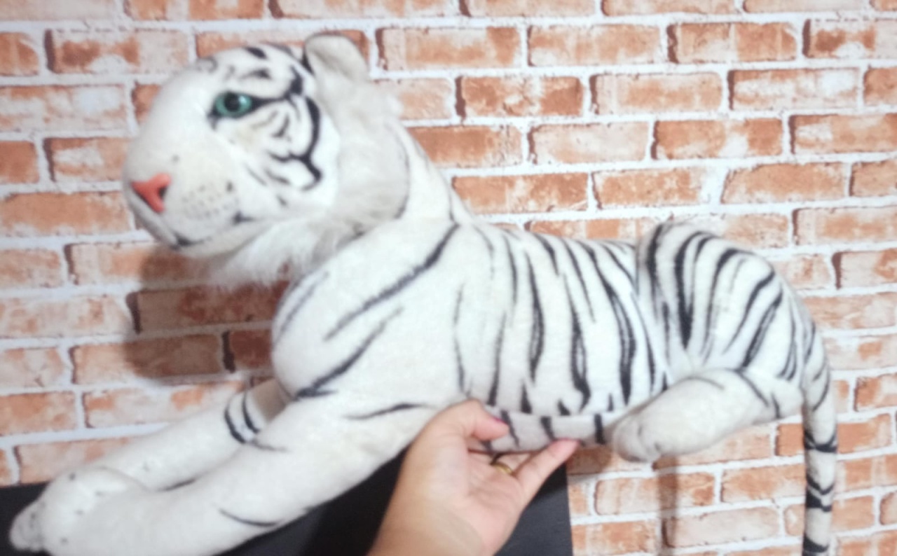 Tigre Branco - RM Festas
