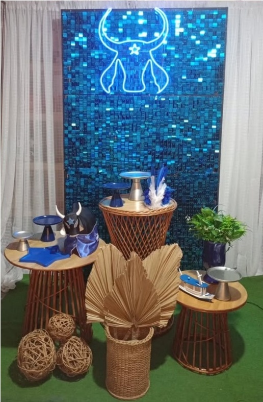 Kit Diamante Boi Caprichoso - RM Festas