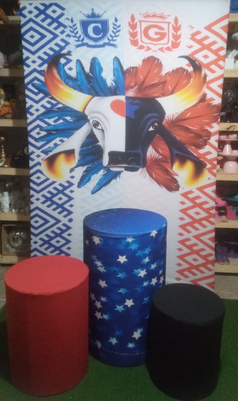 Kit Sublimado Bois Lateral - RM Festas