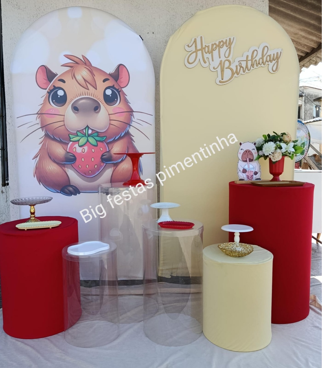 Kit Composição Capivara  - big festas pimentinha