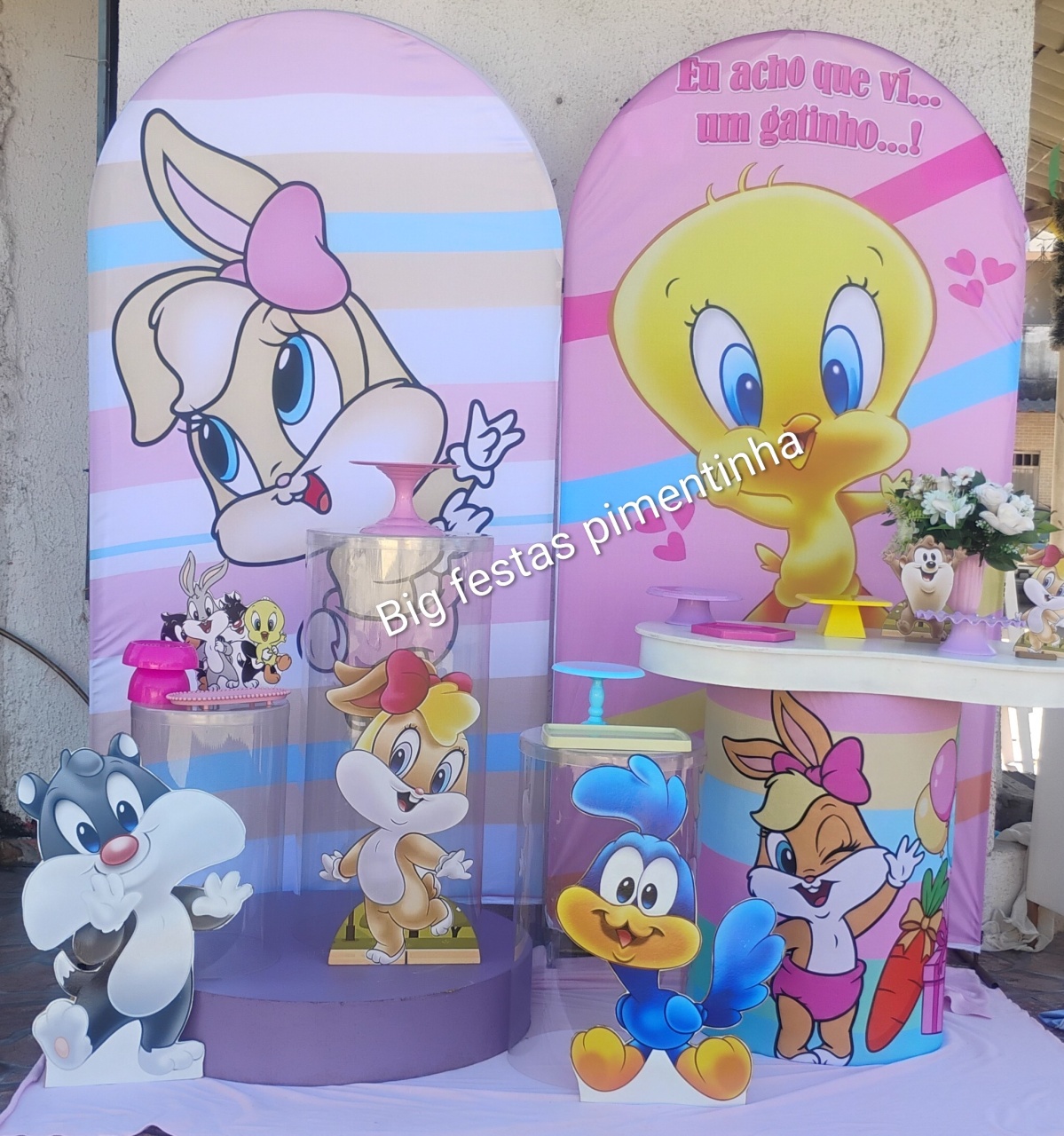 Kit Composição Looney Tunnes Cristal - big festas pimentinha