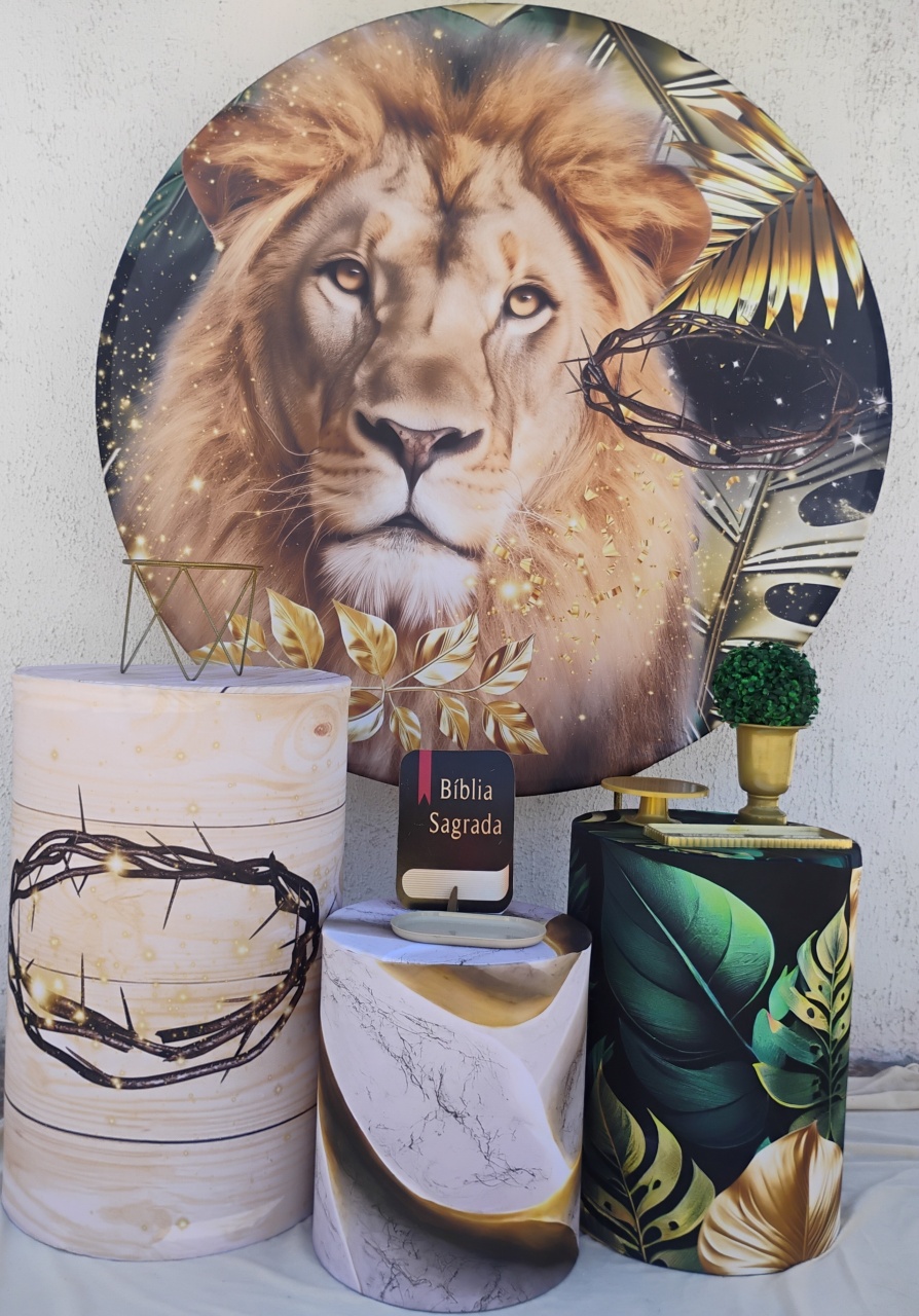 Leão Kit Prata  - big festas pimentinha