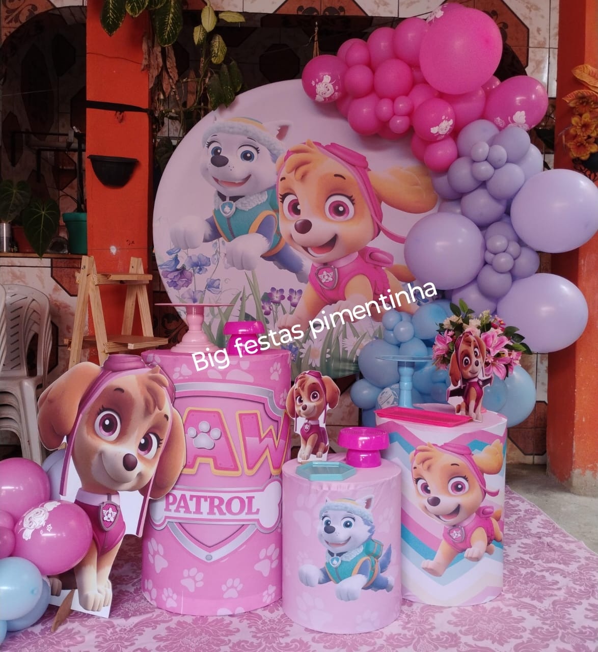 Decoração Skye - big festas pimentinha