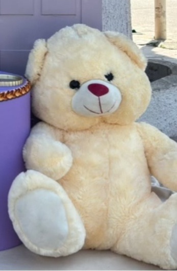 Urso M Branco - big festas pimentinha